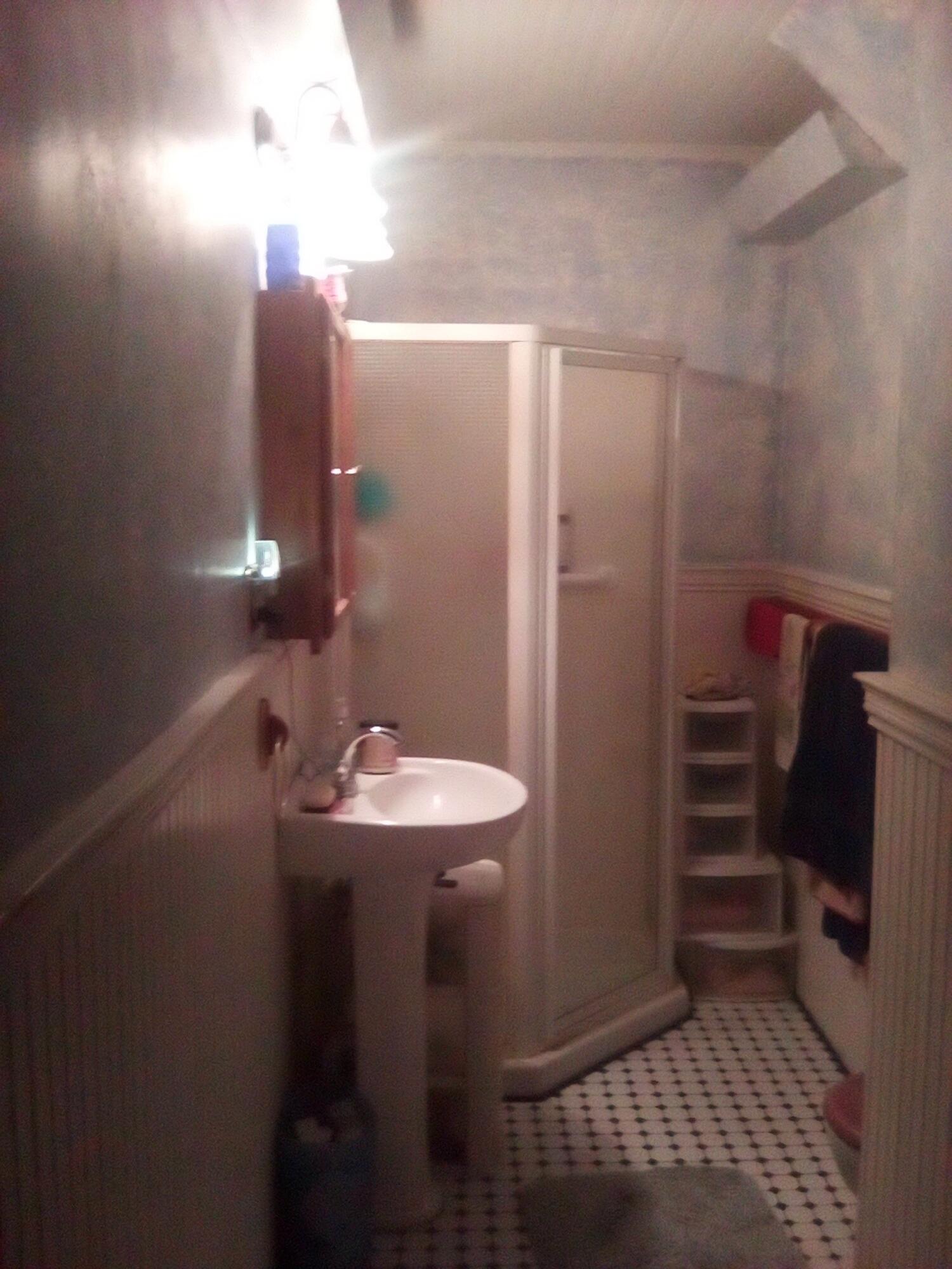 51 Parmenter Road Palermo, ME 04354 - Photo 8 of 19 Bathroom2