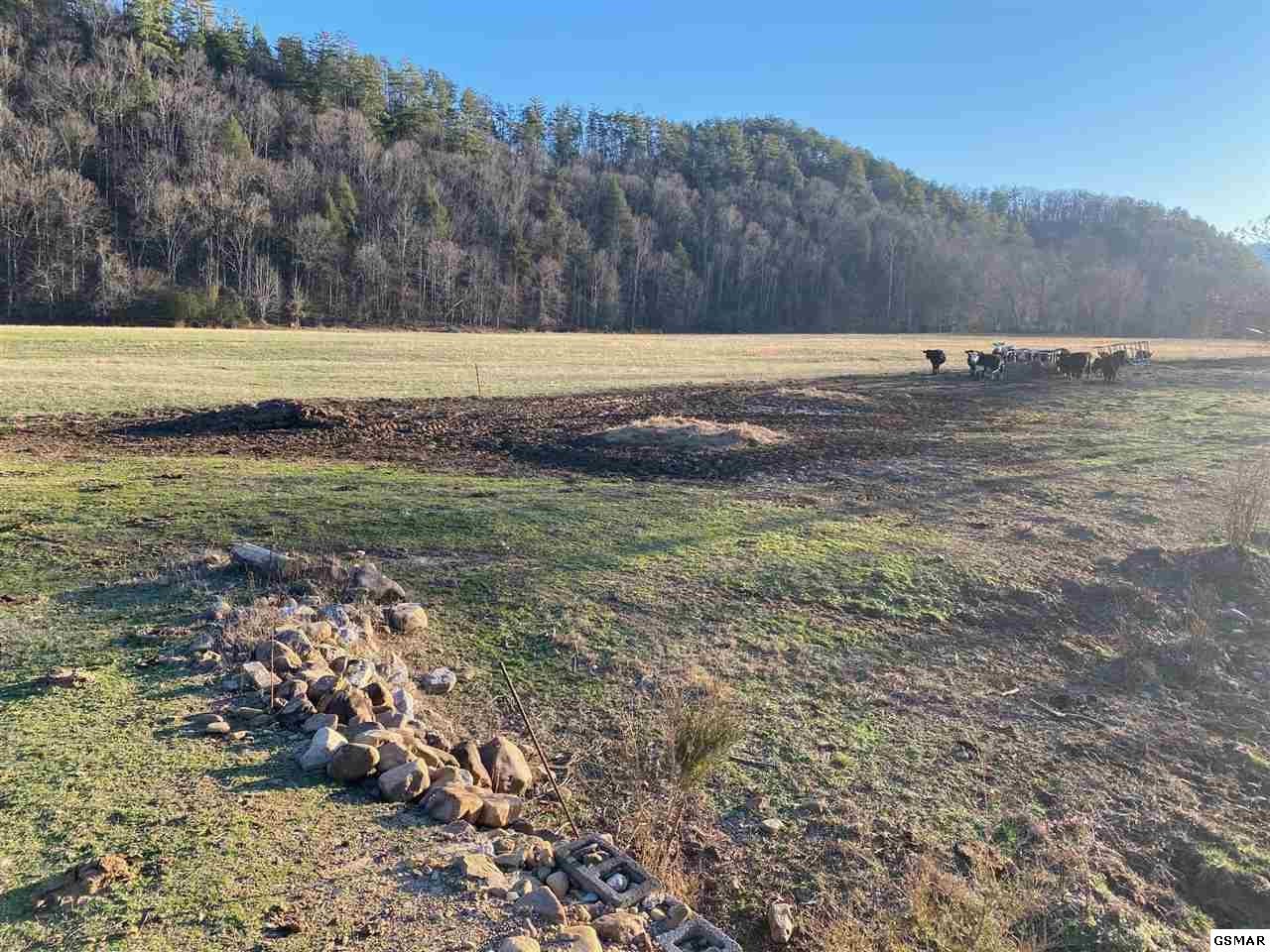 0 Waldens Creek Road Sevierville, TN 37862 - Photo 8 of 8