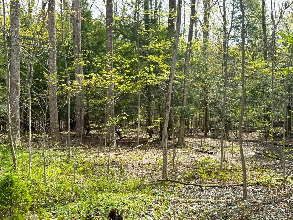 8740 East Patrol Road Lysander, NY 13027 - Photo 29 of 30