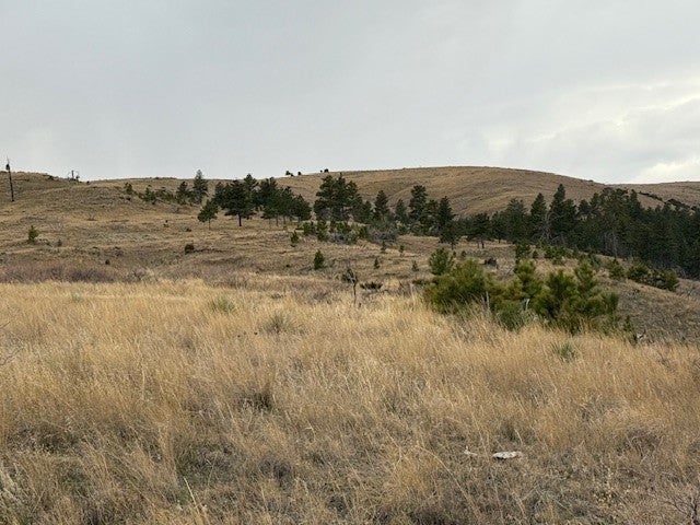 Tbd Brumfield Rd Tbd Brumfield Road Reed Point, MT 59069 - Photo 9 of 24 Gallery Image 9