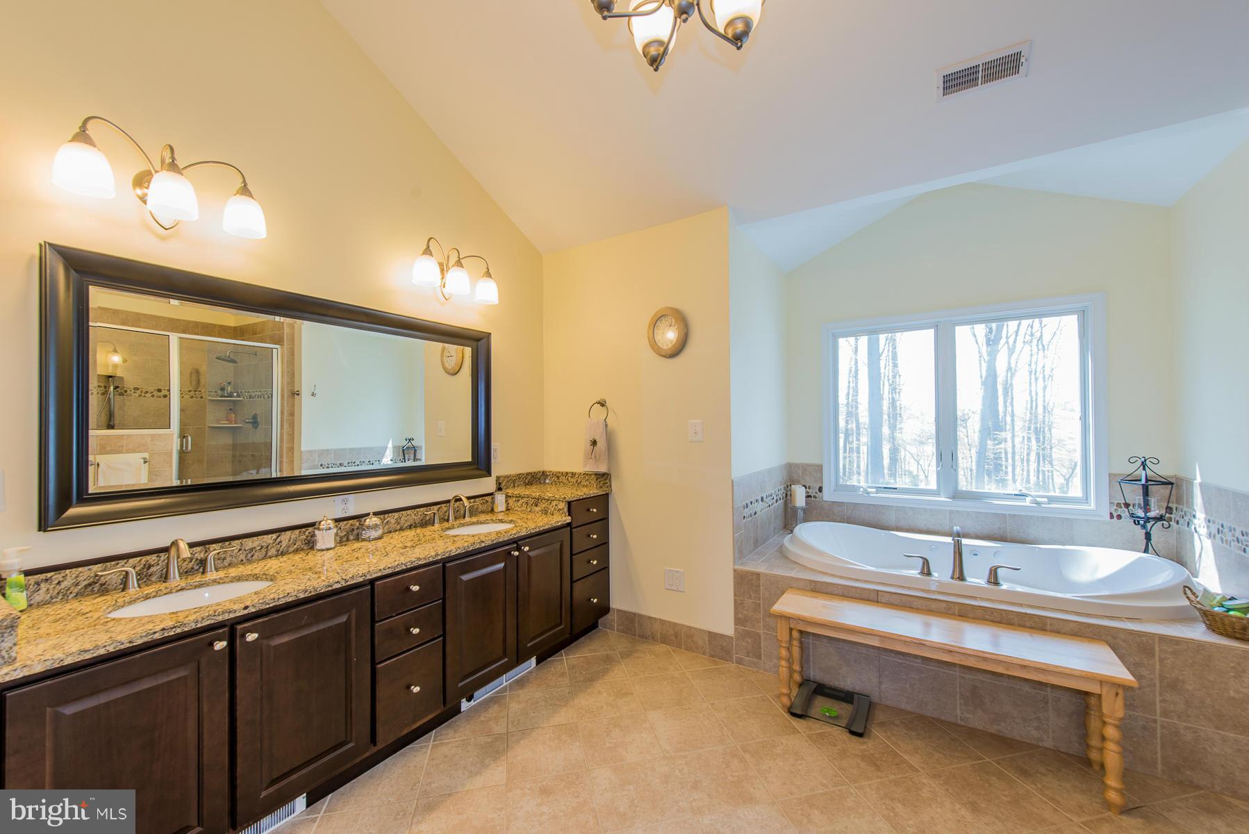 575 Morgan Station Road Woodbine, MD 21797 - Photo 23 of 30 Bath (Master)