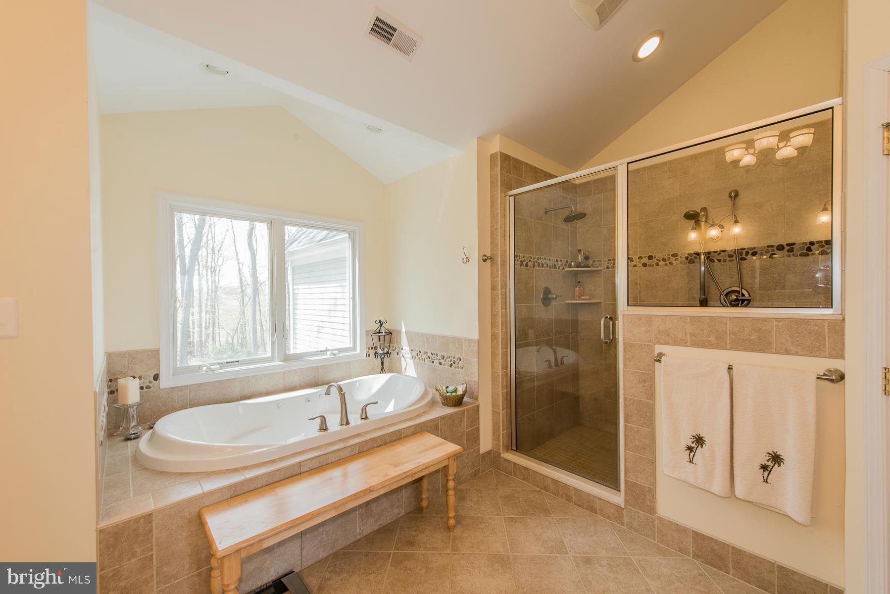 575 Morgan Station Road Woodbine, MD 21797 - Photo 24 of 30 Bath (Master)