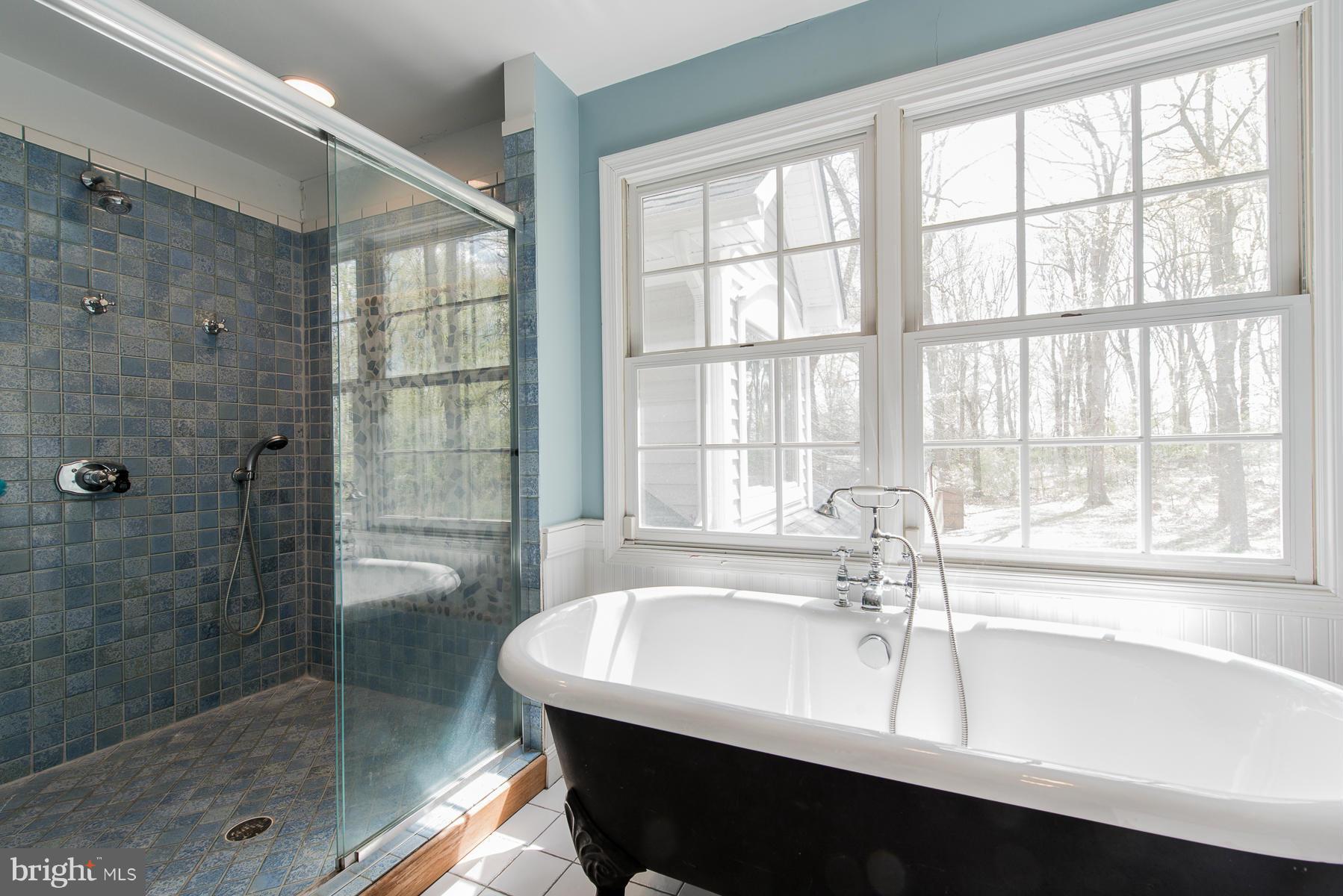 575 Morgan Station Road Woodbine, MD 21797 - Photo 28 of 30 Bath