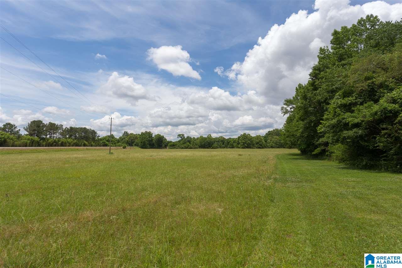 2450 Mcelderry Road Munford, AL 36268 - Photo 45 of 50