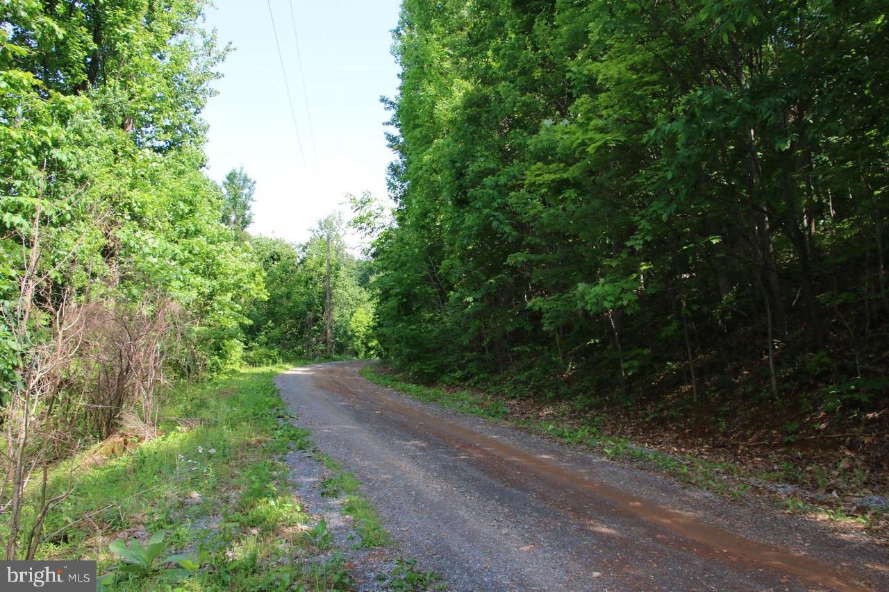 897 Helms Road Stanley, VA 22851 - Photo 34 of 60