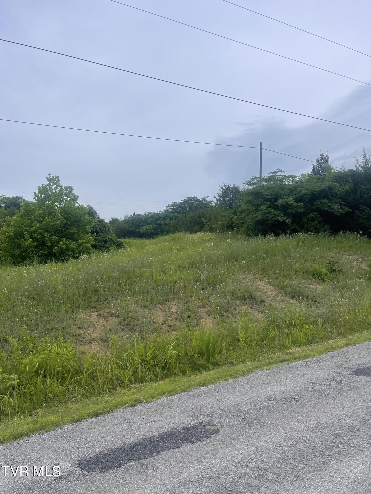 N/a Oakwood Road Midway, TN 37809 - Photo 2 of 5 IMG_2955