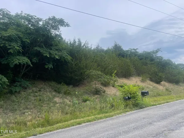 $45,000 | N/a Oakwood Road, Midway, TN 37809