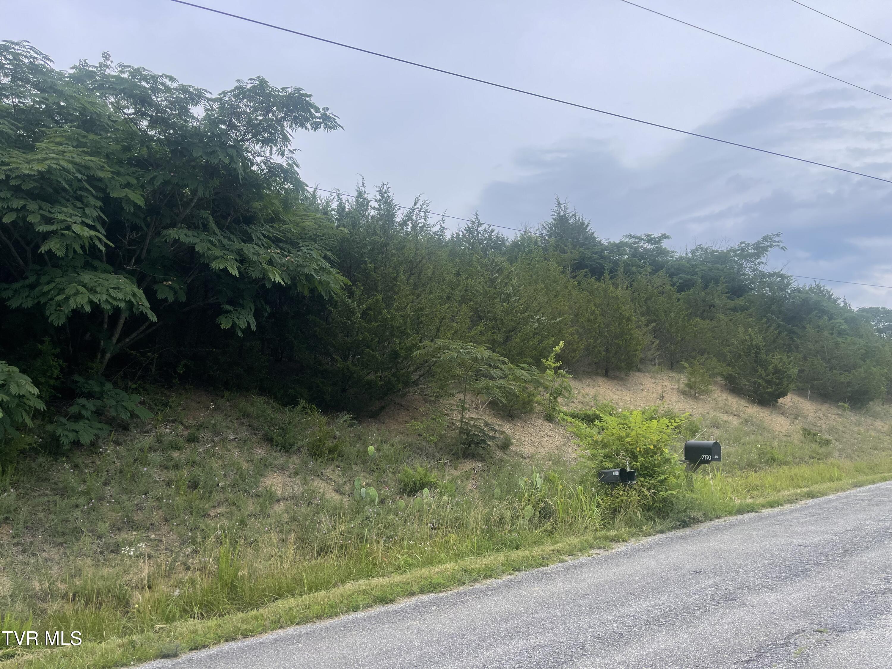 N/a Oakwood Road Midway, TN 37809 - Photo 4 of 5 IMG_2956