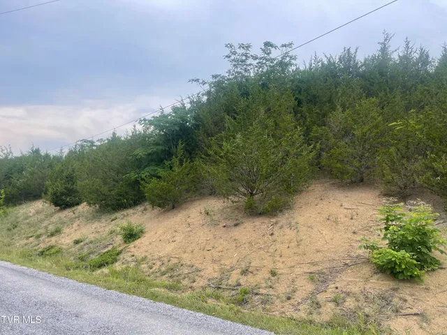 $45,000 | N/a Oakwood Road, Midway, TN 37809