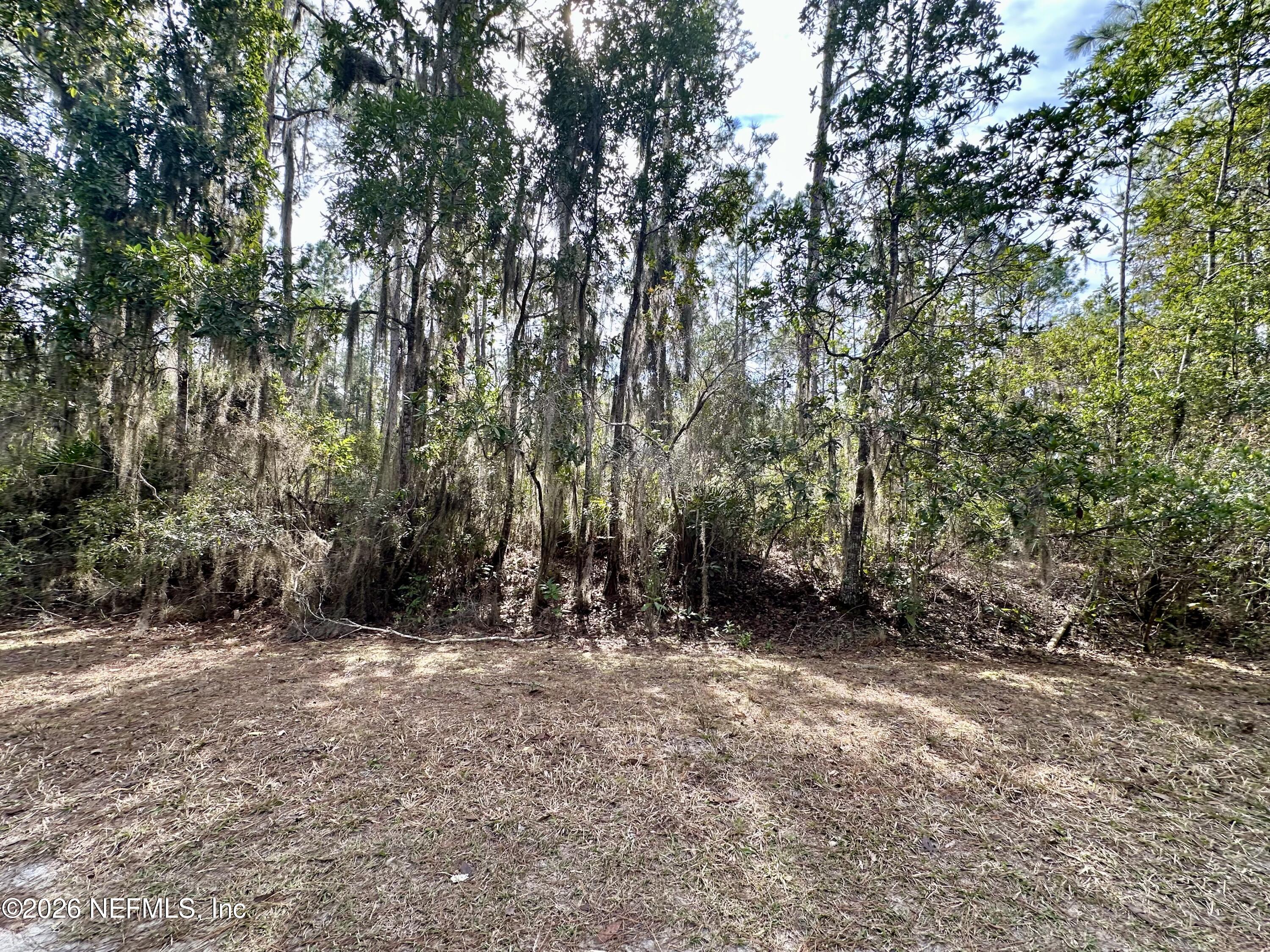 225 Marie Avenue Georgetown, FL 32139 - Photo 3 of 14 a view of outdoor space and trees