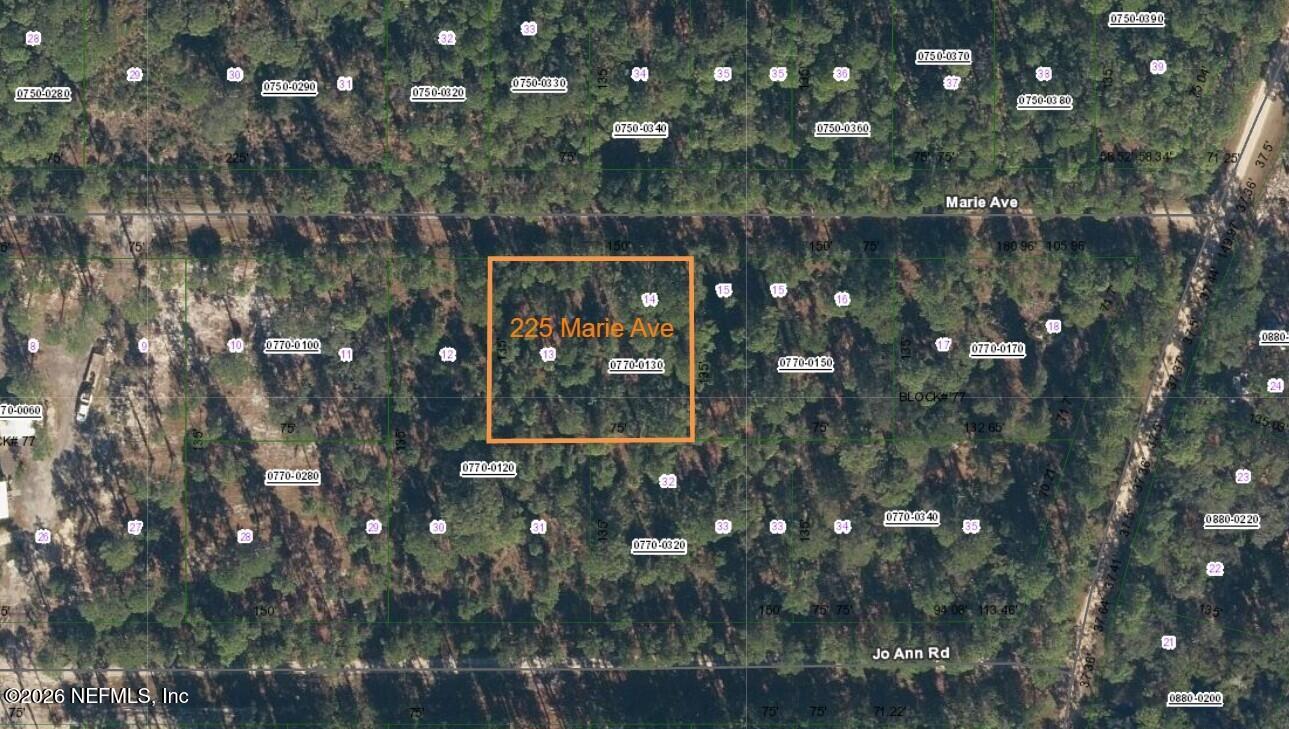225 Marie Avenue Georgetown, FL 32139 - Photo 5 of 14 a view of fountain from a tree