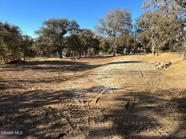 a view of yard with green space