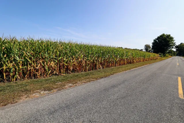 $265,000 | Vl Center Road, Unit WP001, Hastings, MI 49058