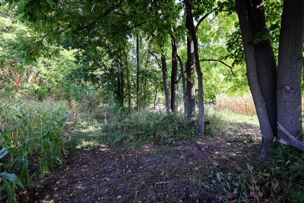 $229,900 | Vl Center Road, Unit WP001, Woodland, MI 48897