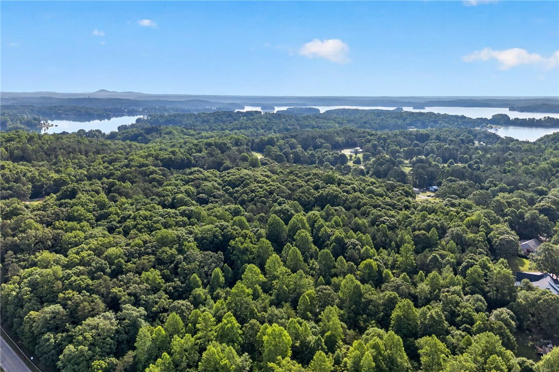 0 Barnes Road Seneca, SC 29672 - Photo 13 of 16 A tranquil, elevated perspective reveals an expansive forest with glimpses of distant water.