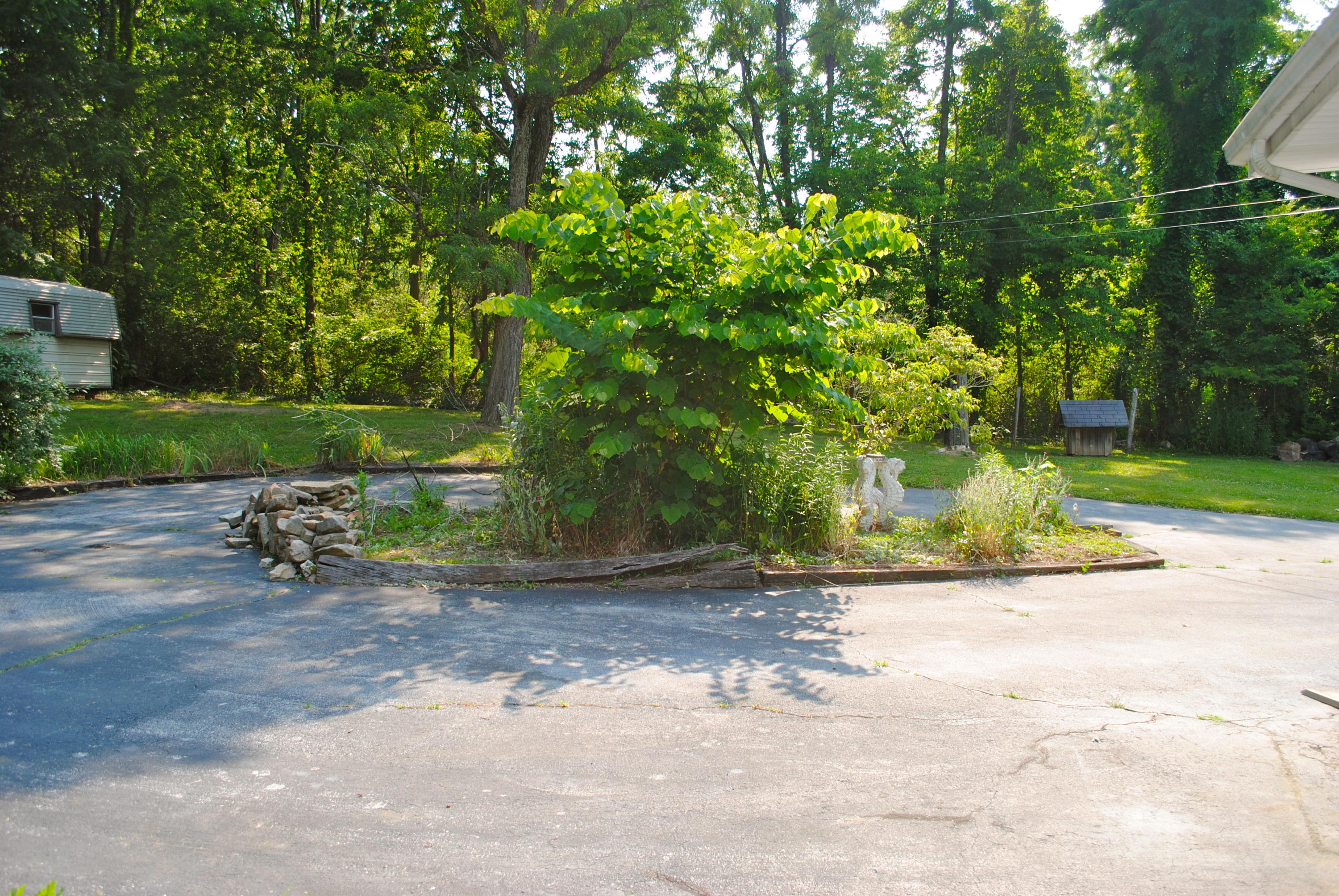 908 Pickett Road Signal Mountain, TN 37377 - Photo 11 of 12 DSC_0364