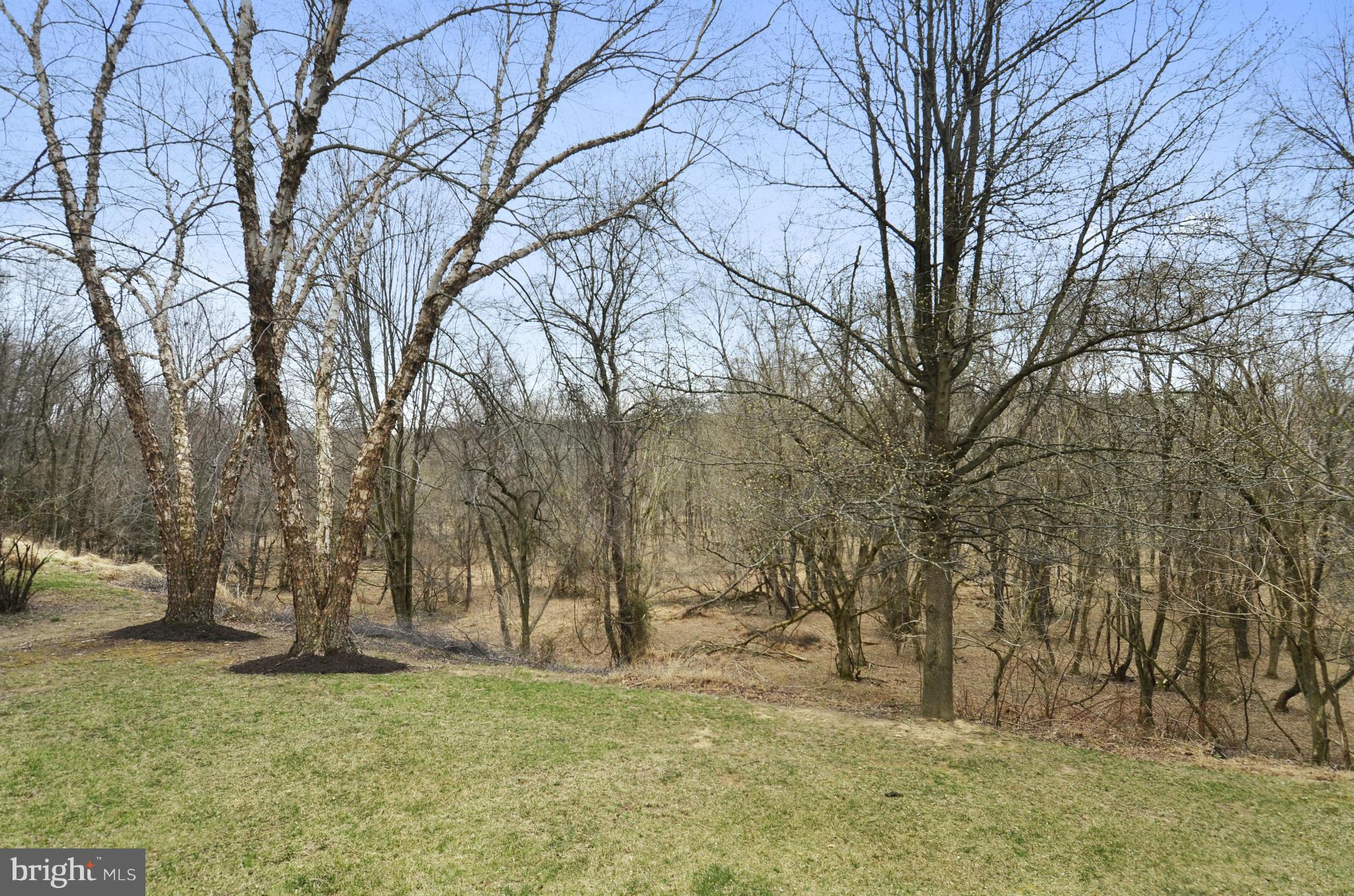 10848 Game Preserve Road Gaithersburg, MD 20879 - Photo 30 of 30 Home Backs to Trees