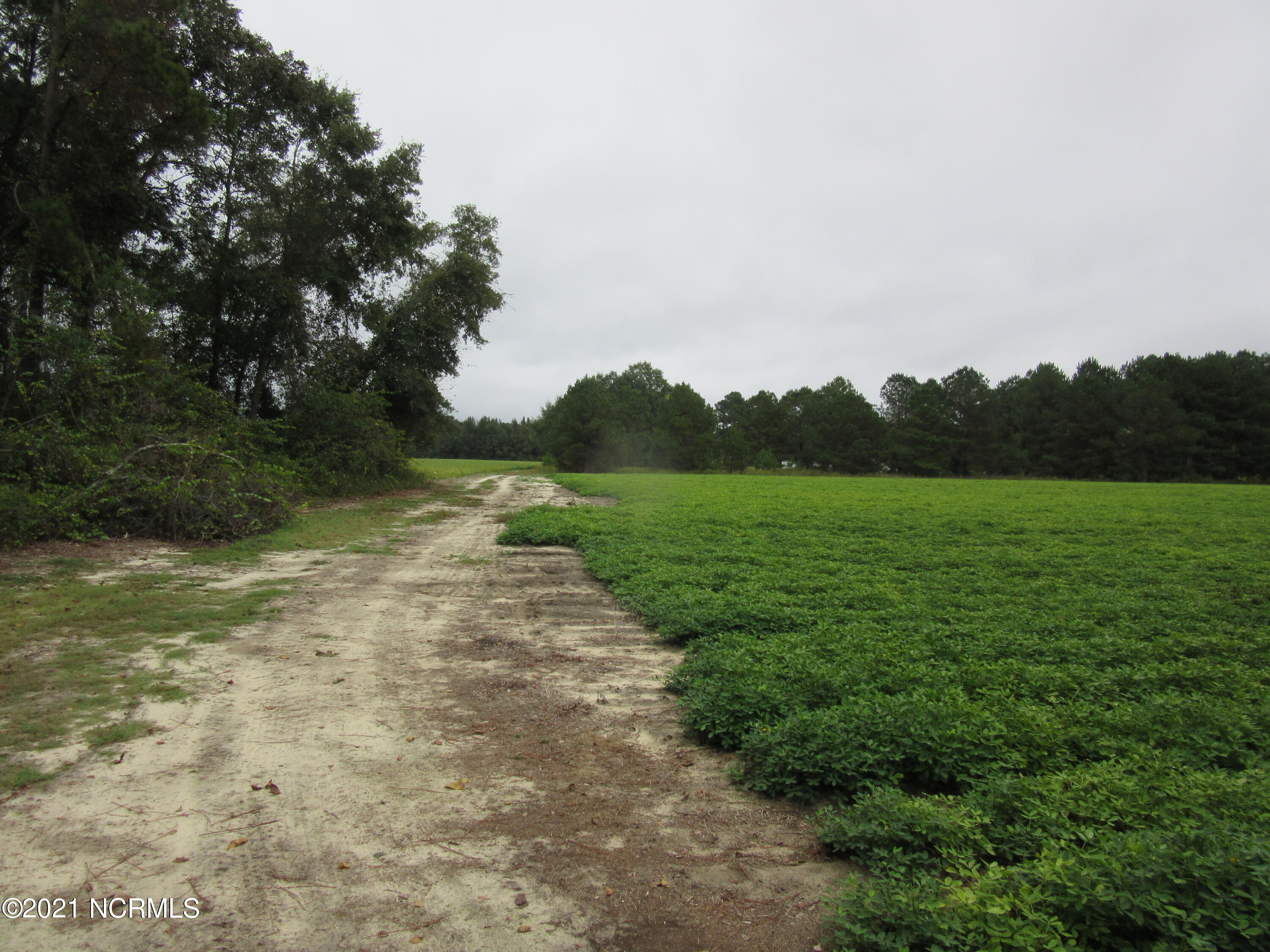0 Chicken Foot Road Tar Heel, NC 28392 - Photo 3 of 4 IMG_5293