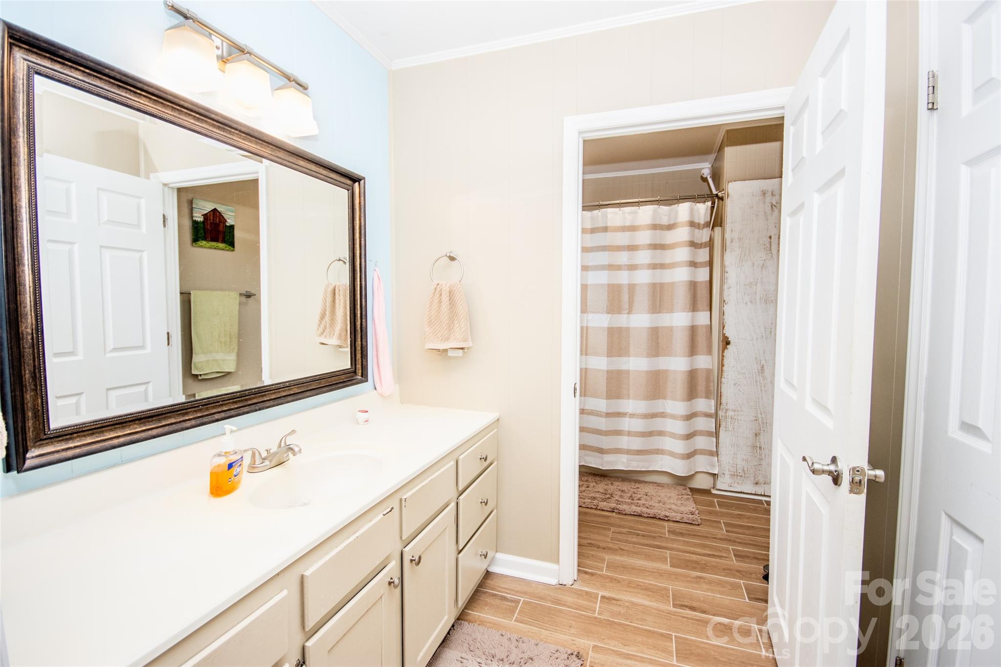 455 Mitch Road Union Grove, NC 28689 - Photo 33 of 44 a bathroom with a sink a mirror and a shower