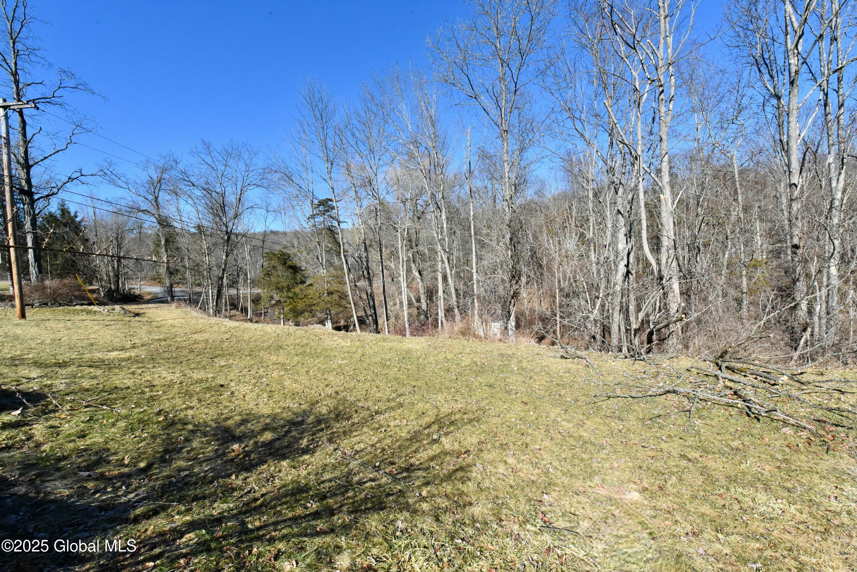 113 Priddle Road Esperance, NY 12066 - Photo 46 of 50 tempImagefCawFe