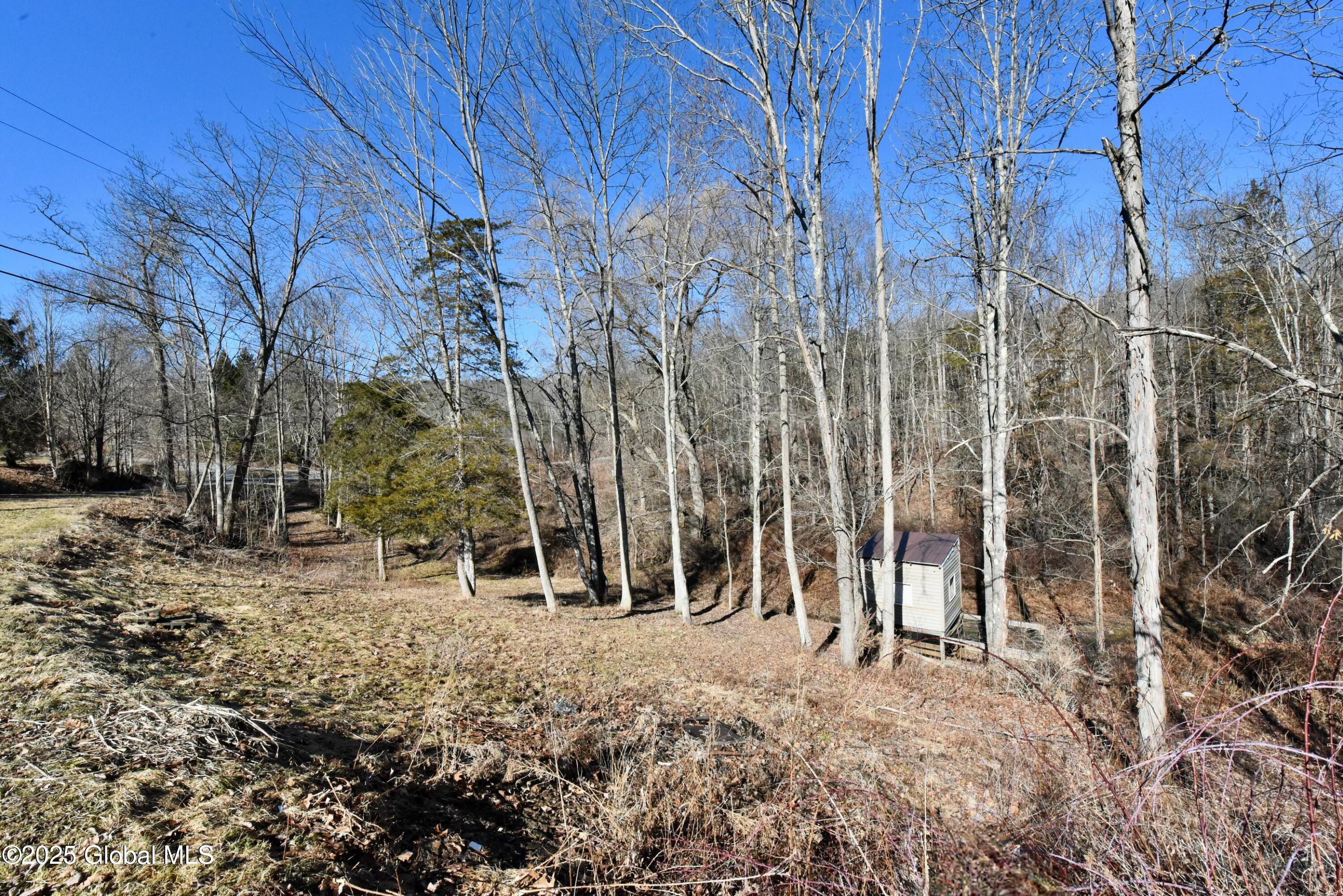 113 Priddle Road Esperance, NY 12066 - Photo 47 of 50 tempImageoDUQe6
