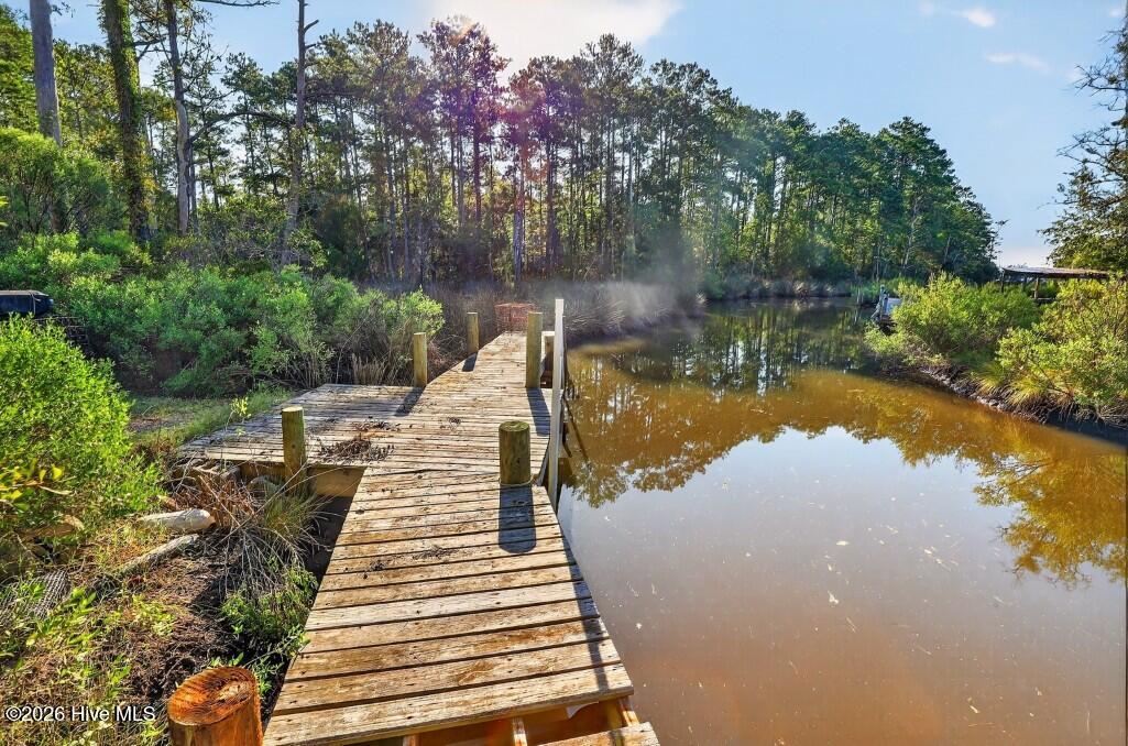 1402 Lynchs Beach Loop Road Bayboro, NC 28515 - Photo 15 of 30 Gallery Image 15