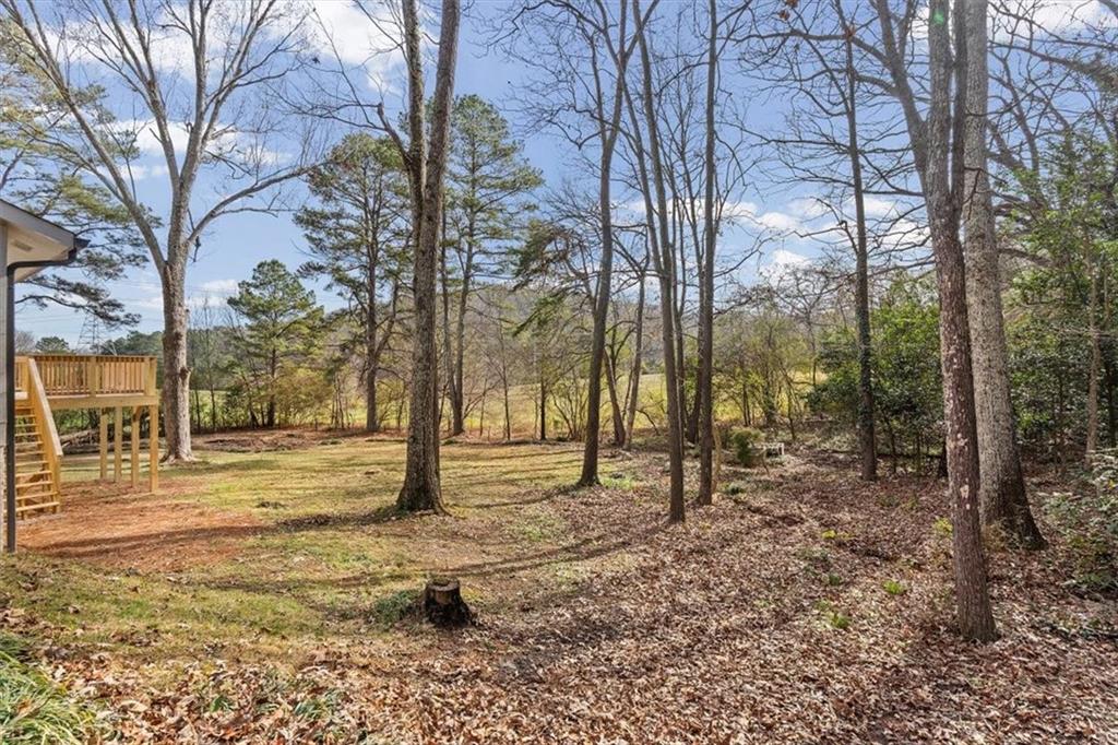 49 Apache Trail Cartersville, GA 30120 - Photo 44 of 52 a view of road with trees