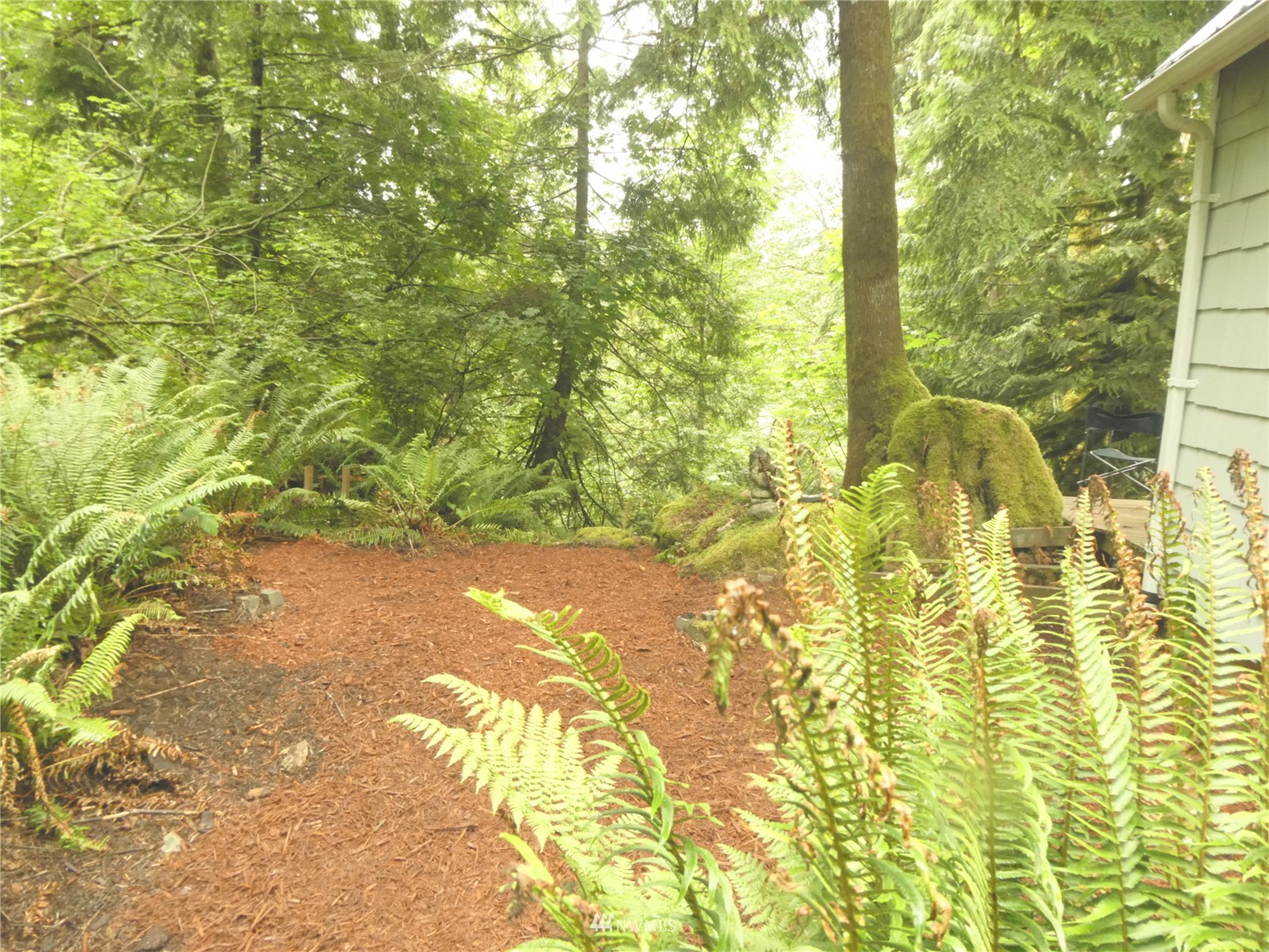 0 Wits End Road Gold Bar, WA 98251 - Photo 24 of 30 a view of a yard with a tree