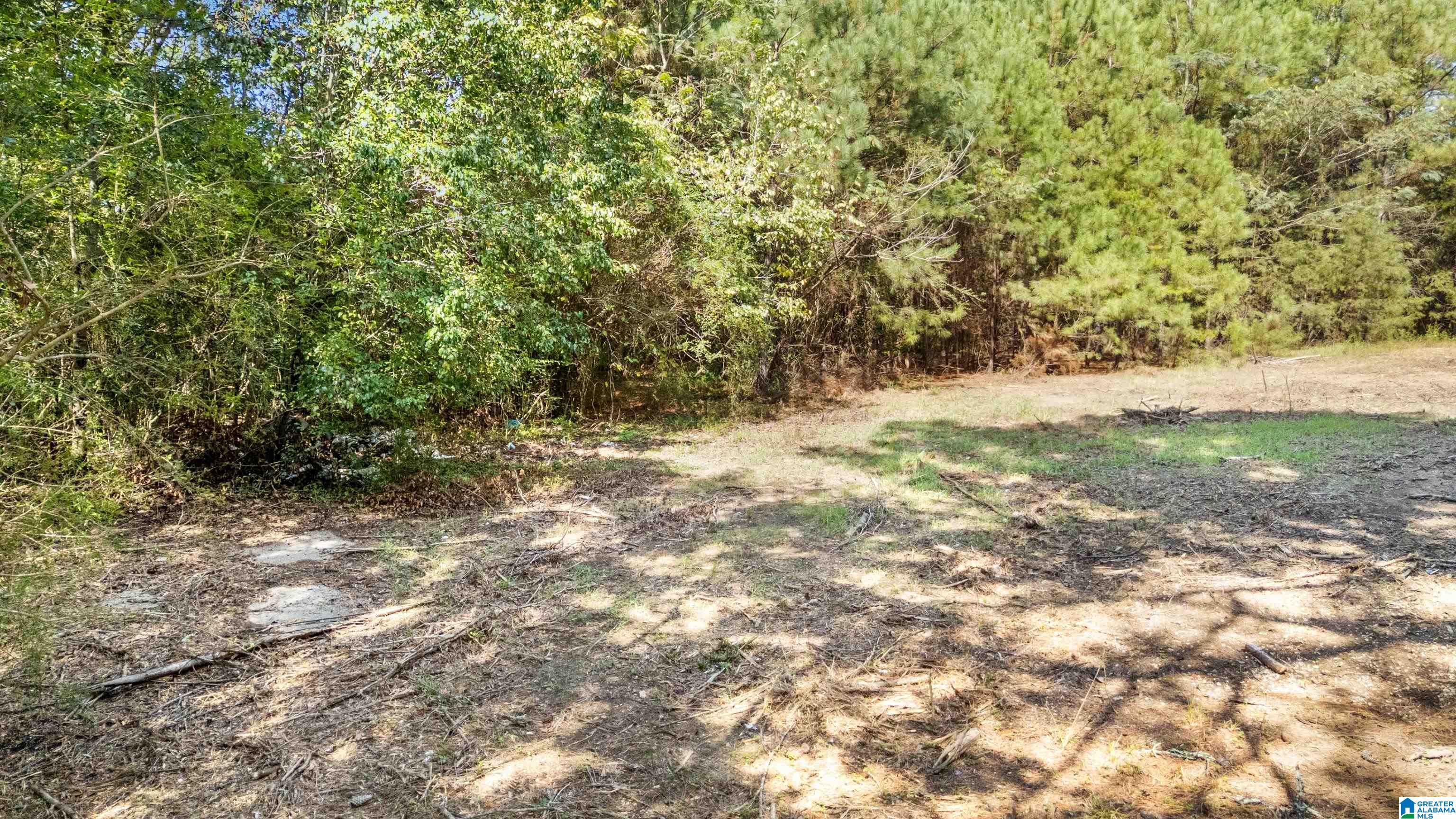 4339 Pine Ridge Road, Unit 1 Mount Olive, AL 35117 - Photo 24 of 34