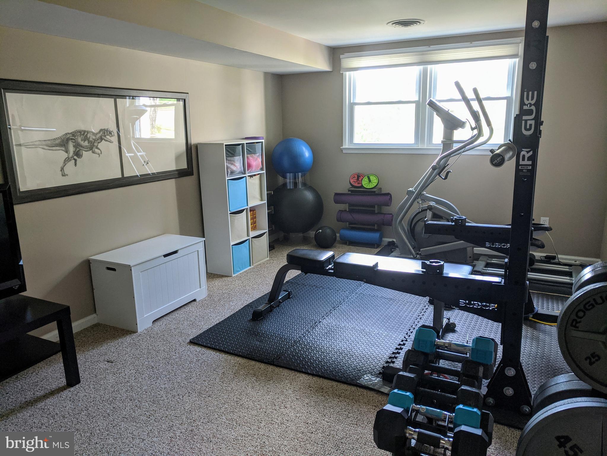 6013 Loretto Street Springfield, VA 22150 - Photo 11 of 15 Workout Room