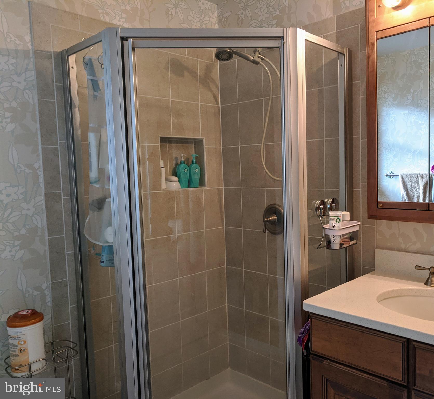 6013 Loretto Street Springfield, VA 22150 - Photo 9 of 15 Master Bath