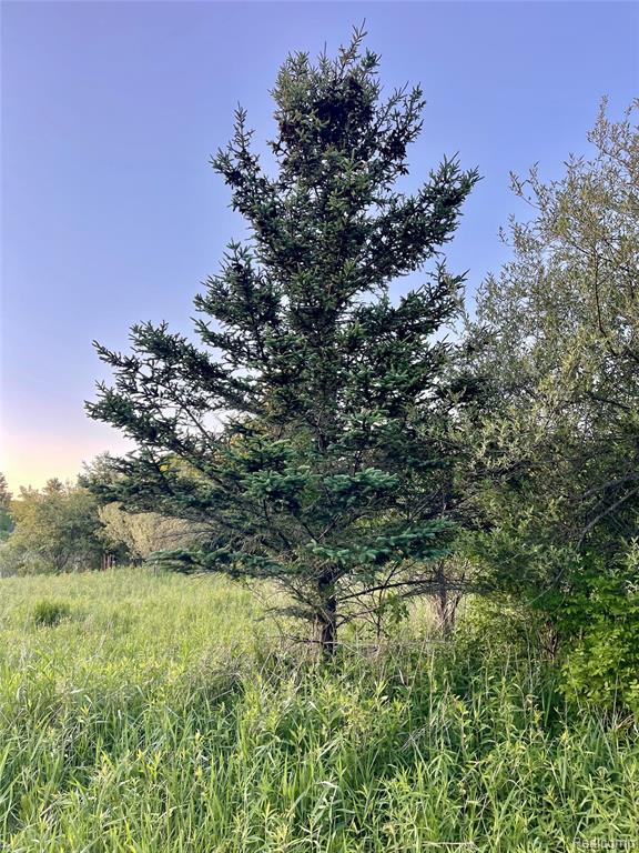 0 Hayden Road Attica, MI 48412 - Photo 3 of 7