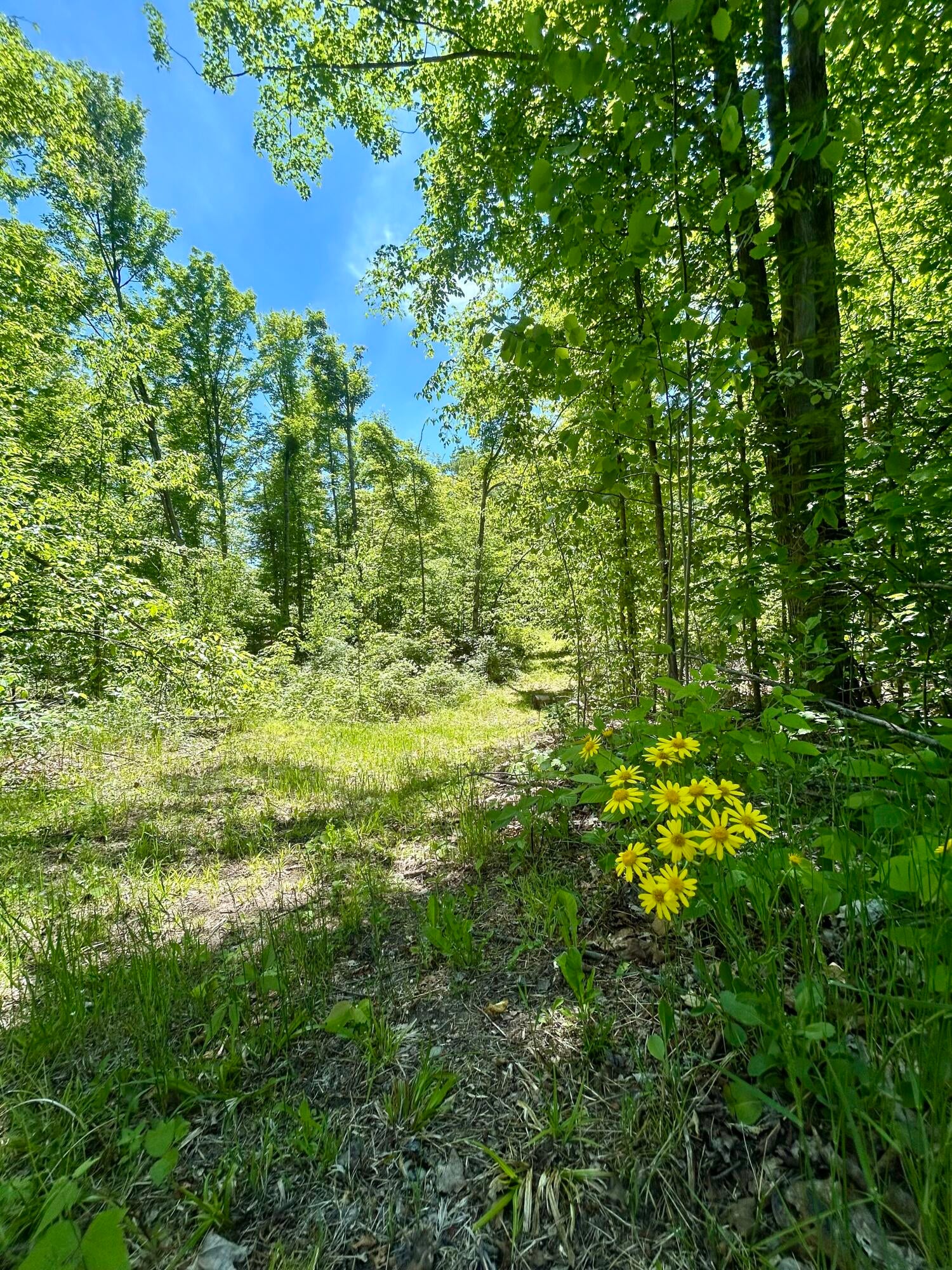 1510 Rogers Road Fairview, MI 48621 - Photo 58 of 61 Gallery Image 58