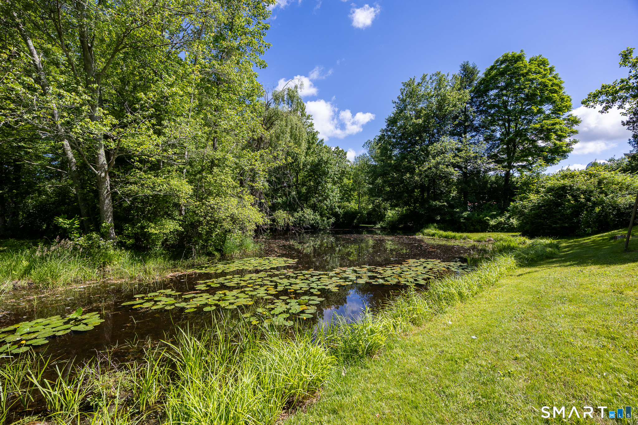 768 North Brooksvale Road Cheshire, CT 06410 - Photo 36 of 39