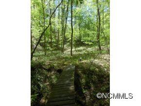 1321 Burt Blackwell Road Mill Spring, NC 28756 - Photo 3 of 8