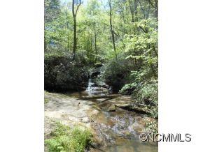 1321 Burt Blackwell Road Mill Spring, NC 28756 - Photo 4 of 8 a view of a forest that has a tree