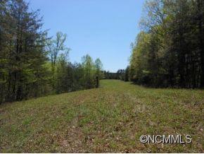 1321 Burt Blackwell Road Mill Spring, NC 28756 - Photo 5 of 8 a view of outdoor space