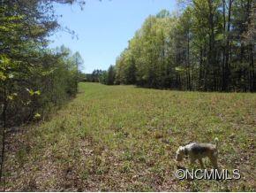 1321 Burt Blackwell Road Mill Spring, NC 28756 - Photo 6 of 8 a view of a yard