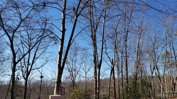 a backyard of a house with lots of trees