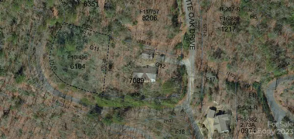 a view of a forest with a street