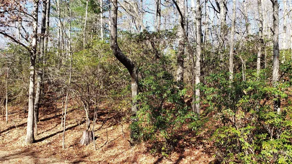 a view of a yard with a tree