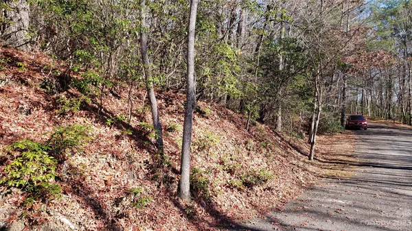 a view of a road with a tree