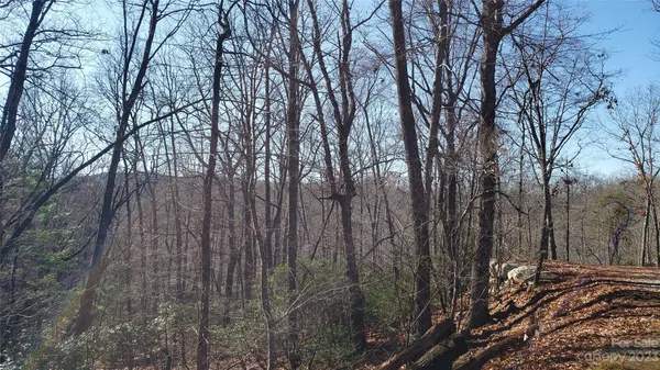 a view of outdoor space with lots of trees