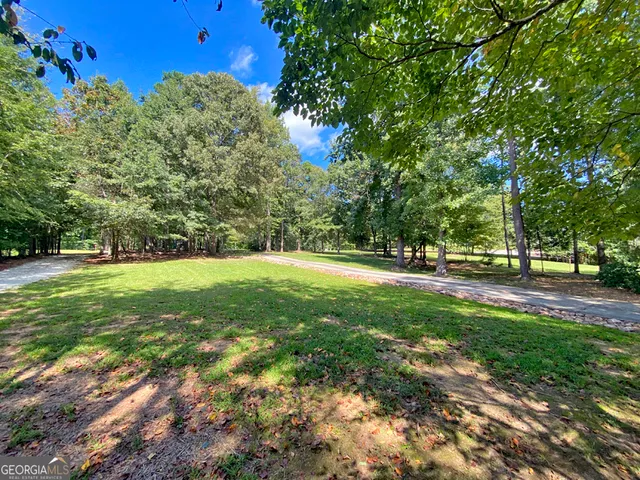 a view of outdoor space with garden and trees