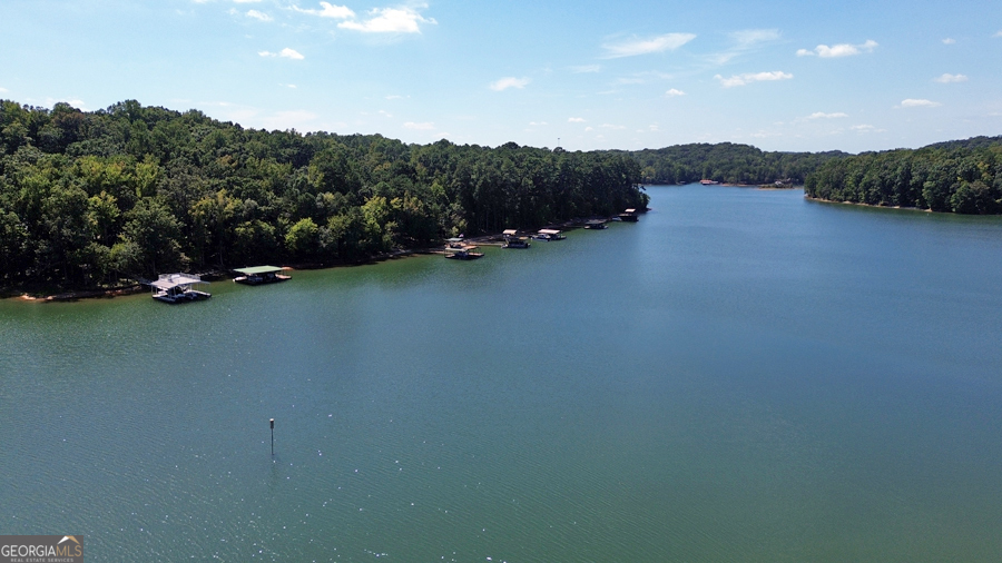1045 Paynes Creek Road Hartwell, GA 30643 - Photo 33 of 37 a view of a field with mountains in the background