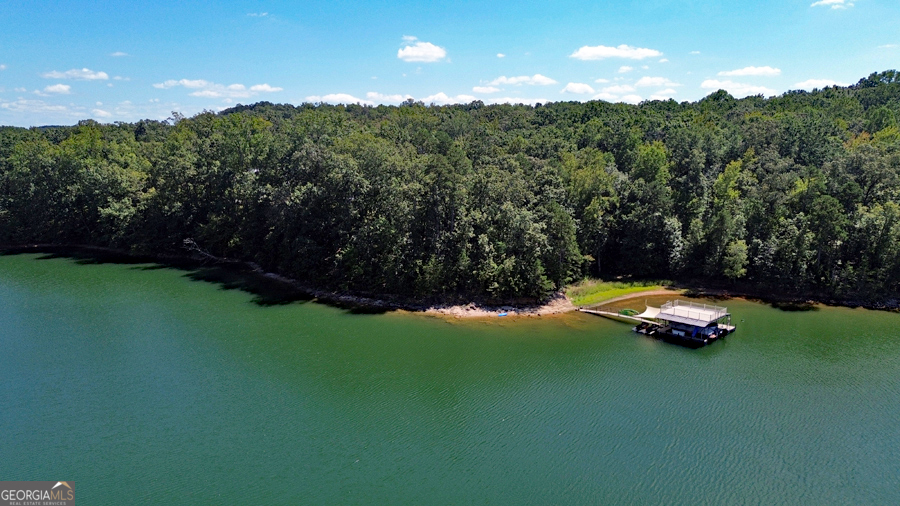 1045 Paynes Creek Road Hartwell, GA 30643 - Photo 34 of 37 a aerial view of a yard