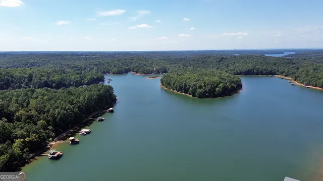 an aerial view of a residential houses with outdoor space and trees