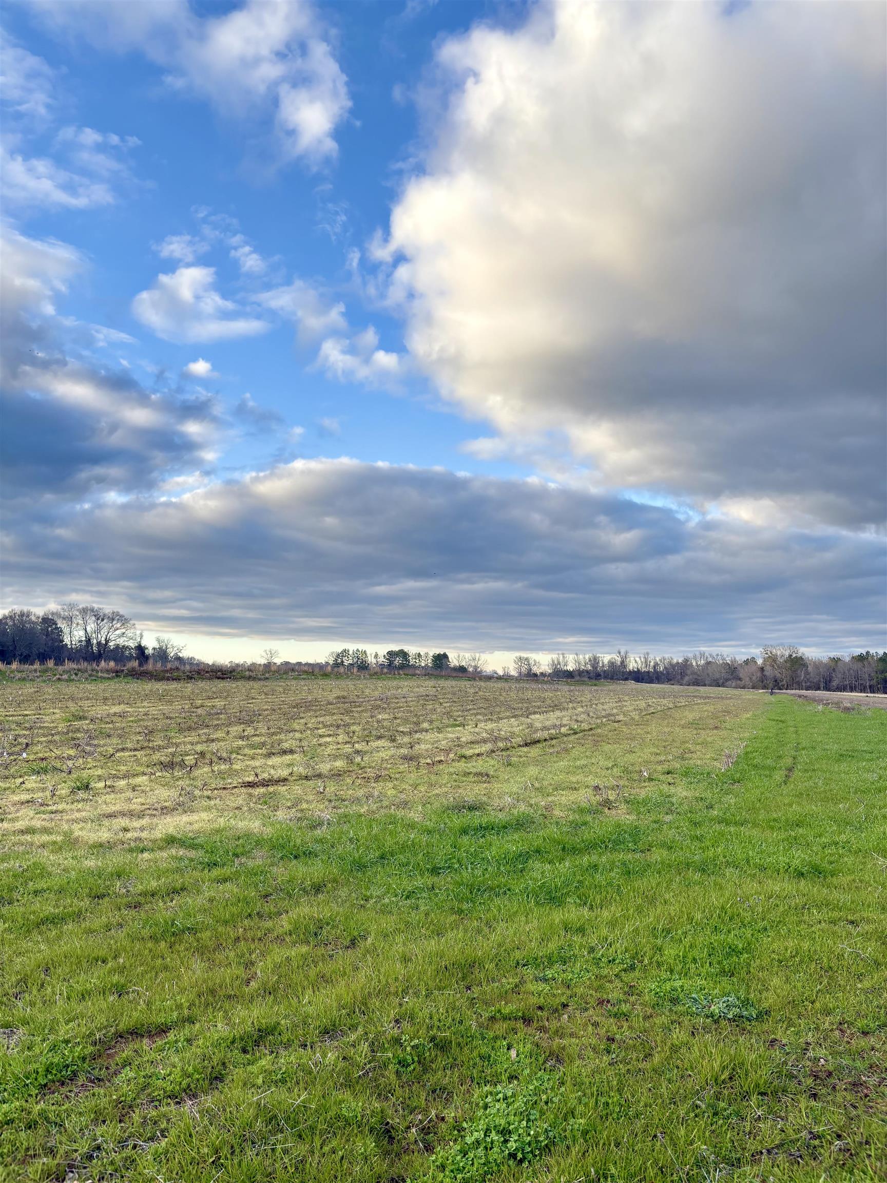 0 James Brooks Road Atmore, AL 36502 - Photo 9 of 16 View