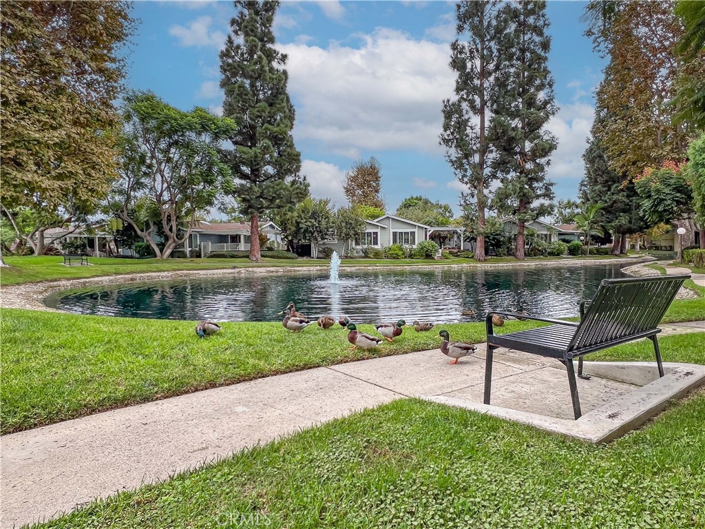 2509 View Lake Santa Ana, CA 92705 - Photo 72 of 74 Relax and watch the ducks