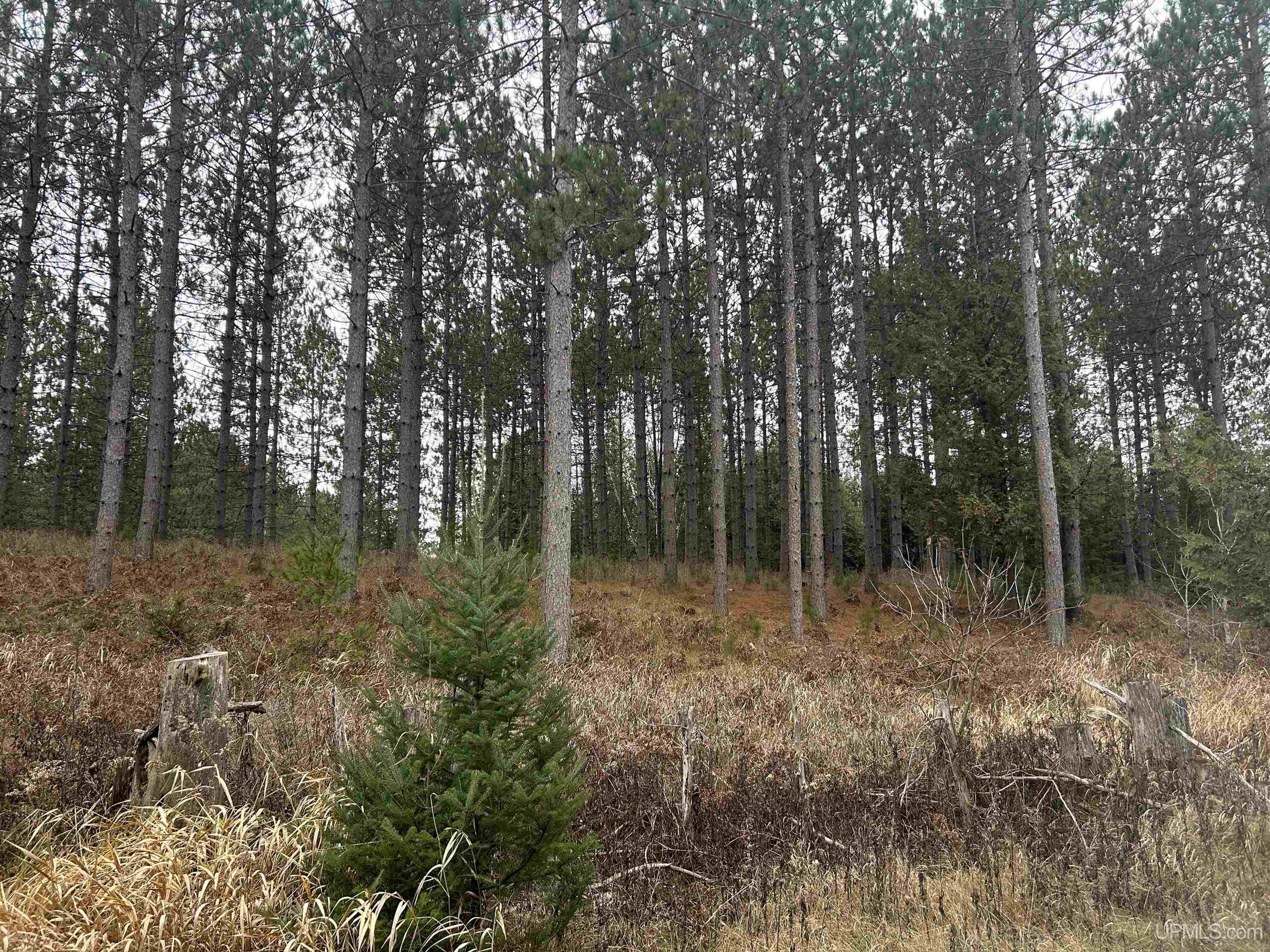 W4777 Lahay Road Daggett, MI 49821 - Photo 39 of 67